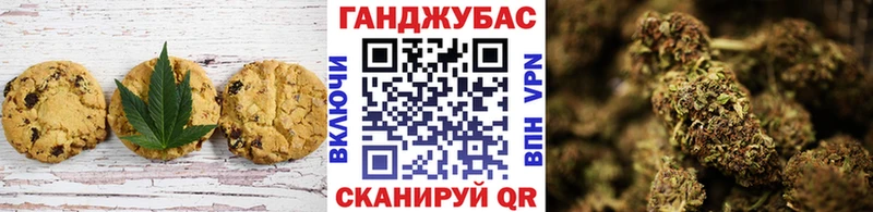 как найти закладки  OMG ССЫЛКА  Cannafood марихуана  Ртищево 