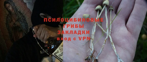 гидропоника Покачи