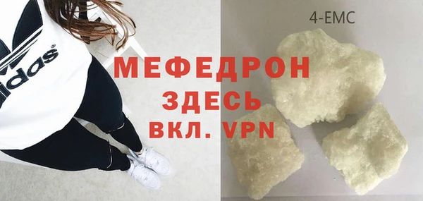 прущие грибы Абаза