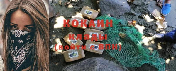 прущие грибы Абаза