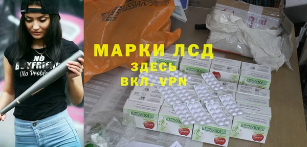 прущие грибы Абаза