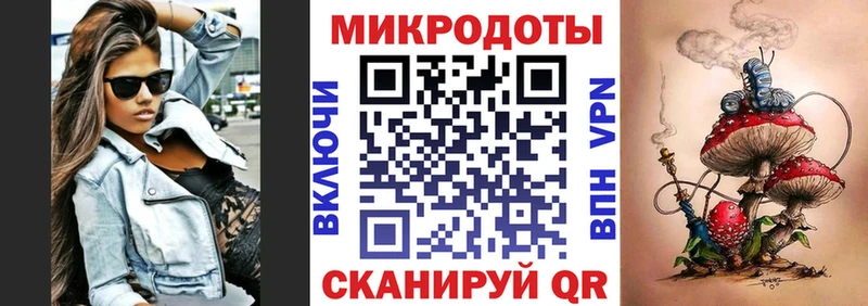 Псилоцибиновые грибы Psilocybe Ртищево