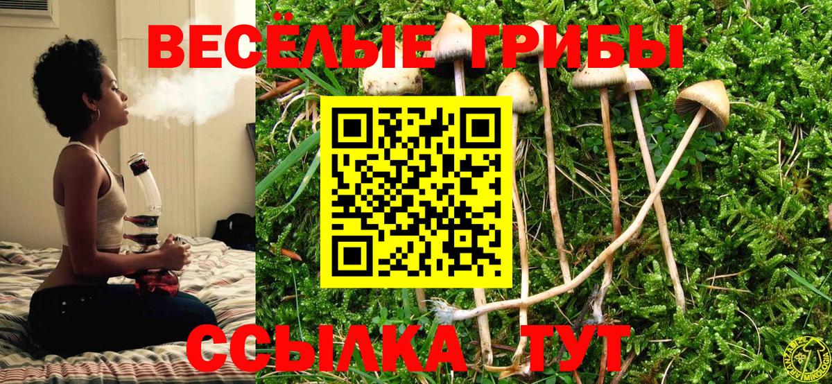 Ртищево  Псилоцибиновые грибы MAGIC MUSHROOMS  Вход с VPN 