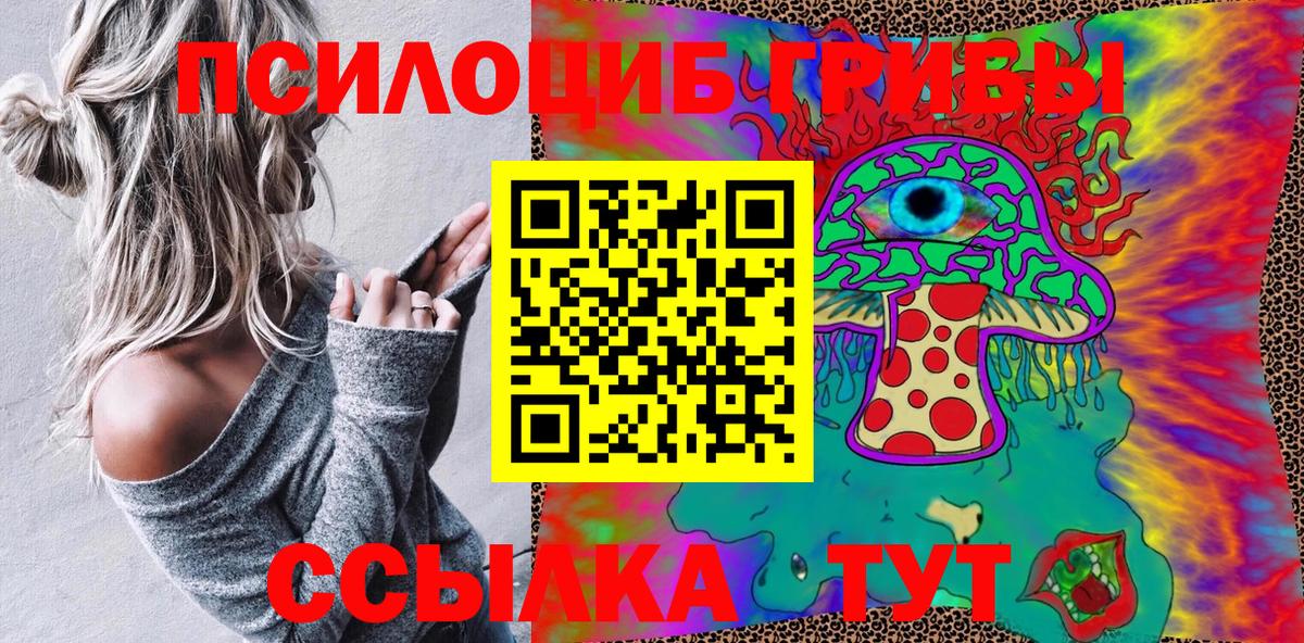 Псилоцибиновые грибы MAGIC MUSHROOMS Ртищево